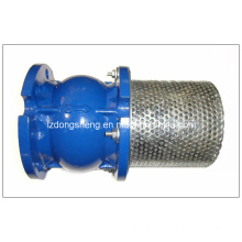 Cast Iron Flanged Foot Valve with Waterworks